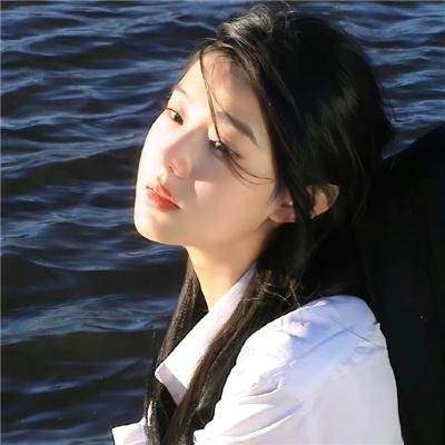 莫西干回到故乡